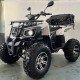 Квадроцикл MOTAX ATV GRIZLIK E3000