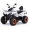 Квадроцикл MOTAX ATV Grizlik 200 Ultra Квадроцикл MOTAX ATV Grizlik 200 Ultra
