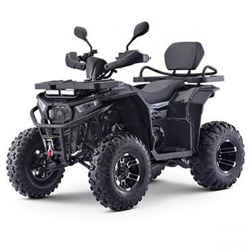 Квадроцикл MOTAX ATV Grizlik W200