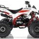 Квадроцикл MOTAX ATV Raptor LUX 125 сс