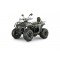 Квадроцикл YACOTA DRAGON 125 LUX-LD Квадроцикл YACOTA DRAGON 125 LUX-LD