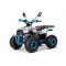Квадроцикл YACOTA SIRIUS 110 Квадроцикл YACOTA SIRIUS 110