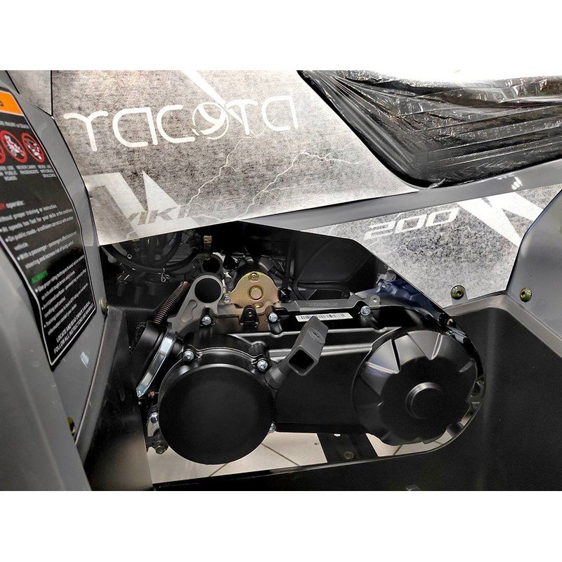 Квадроцикл YACOTA VIKING 200 PRO Квадроцикл YACOTA VIKING 200 PRO