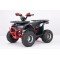 Квадроцикл YACOTA SIRIUS 125 LD