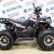 Квадроцикл Avantis Hunter 8 New Premium 2024