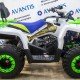 Квадроцикл Avantis Forester 200 Lux