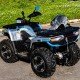 Квадроцикл MotoLand ATV 300 MAX X, с ПТС