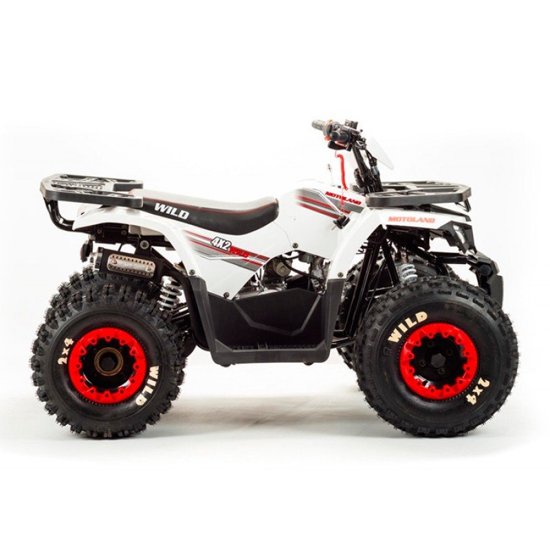 Квадроцикл подростковый MotoLand ATV WILD BASIC 125