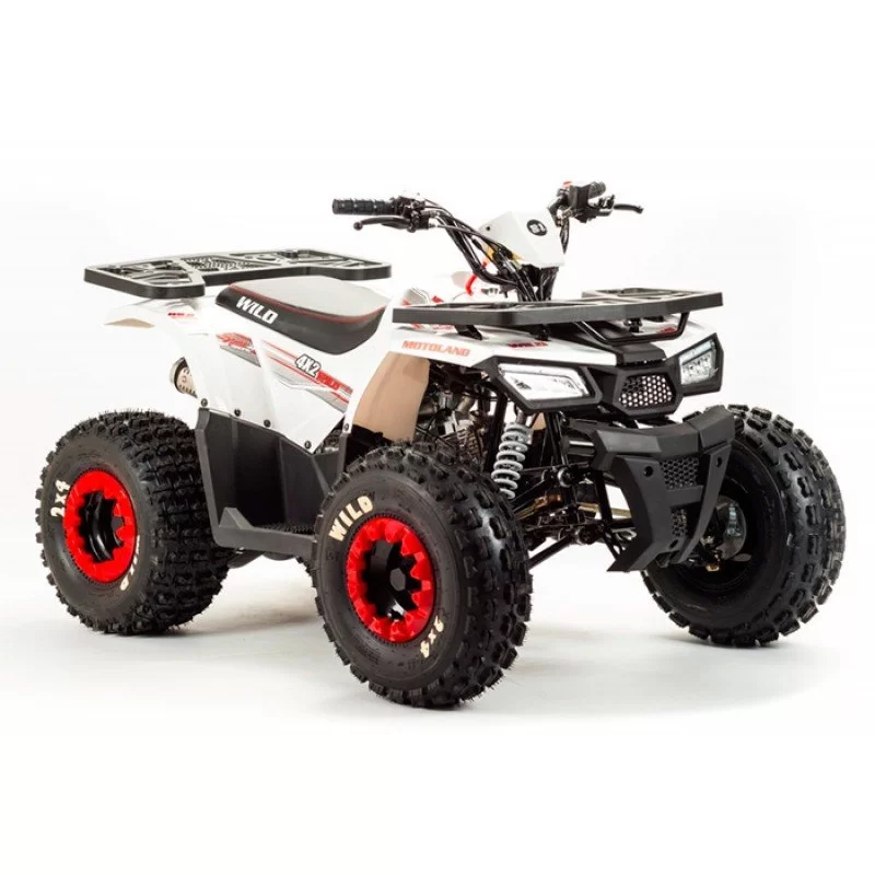 Квадроцикл подростковый MotoLand ATV WILD BASIC 125 купить в Самаре ...