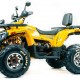 Квадроцикл подростковый MotoLand ATV 200 WILD TRAСK X PRO Квадроцикл подростковый MotoLand ATV 200 WILD TRAСK X PRO