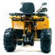 Квадроцикл подростковый MotoLand ATV 200 WILD TRAСK X PRO Квадроцикл подростковый MotoLand ATV 200 WILD TRAСK X PRO