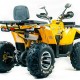 Квадроцикл подростковый MotoLand ATV 200 WILD TRAСK X PRO Квадроцикл подростковый MotoLand ATV 200 WILD TRAСK X PRO