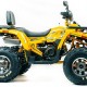 Квадроцикл подростковый MotoLand ATV 200 WILD TRAСK X PRO Квадроцикл подростковый MotoLand ATV 200 WILD TRAСK X PRO