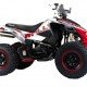 Квадроцикл подростковый MotoLand ATV 250 Rally