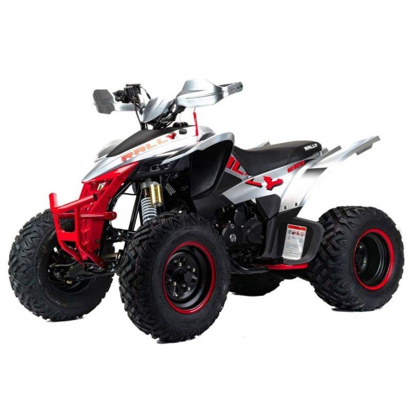 Квадроцикл подростковый MotoLand ATV 250 Rally