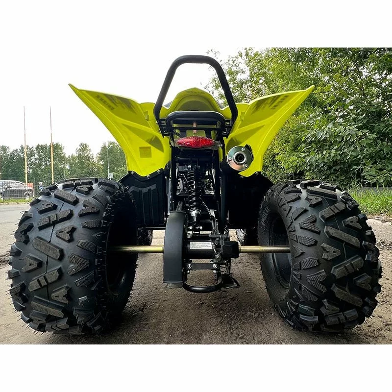 Квадроцикл подростковый MotoLand ATV RAPTOR 125 купить в Самаре | Цена ...