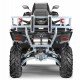 Квадроцикл STELS ATV 800 GUEPARD FF Trophy EPS Cargo 2.0