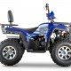 Квадроцикл WELS ATV Thunder Trail 200 Pro