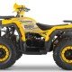 Квадроцикл WELS ATV Thunder Trail 200