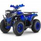 Квадроцикл WELS ATV Thunder Trail 200