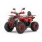 Квадроцикл WELS ATV Trail 125 Pro Квадроцикл WELS ATV Trail 125 Pro
