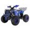 Квадроцикл WELS ATV Thunder EVO 125 Квадроцикл WELS ATV Thunder EVO 125