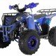 Квадроцикл WELS ATV Thunder EVO 125