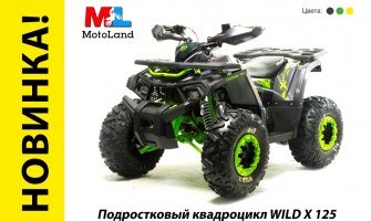 SUPER-НОВИНКА! Уменьшенный WILD TRACK X = WILD 125 X